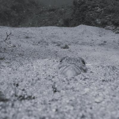 Galeria 004